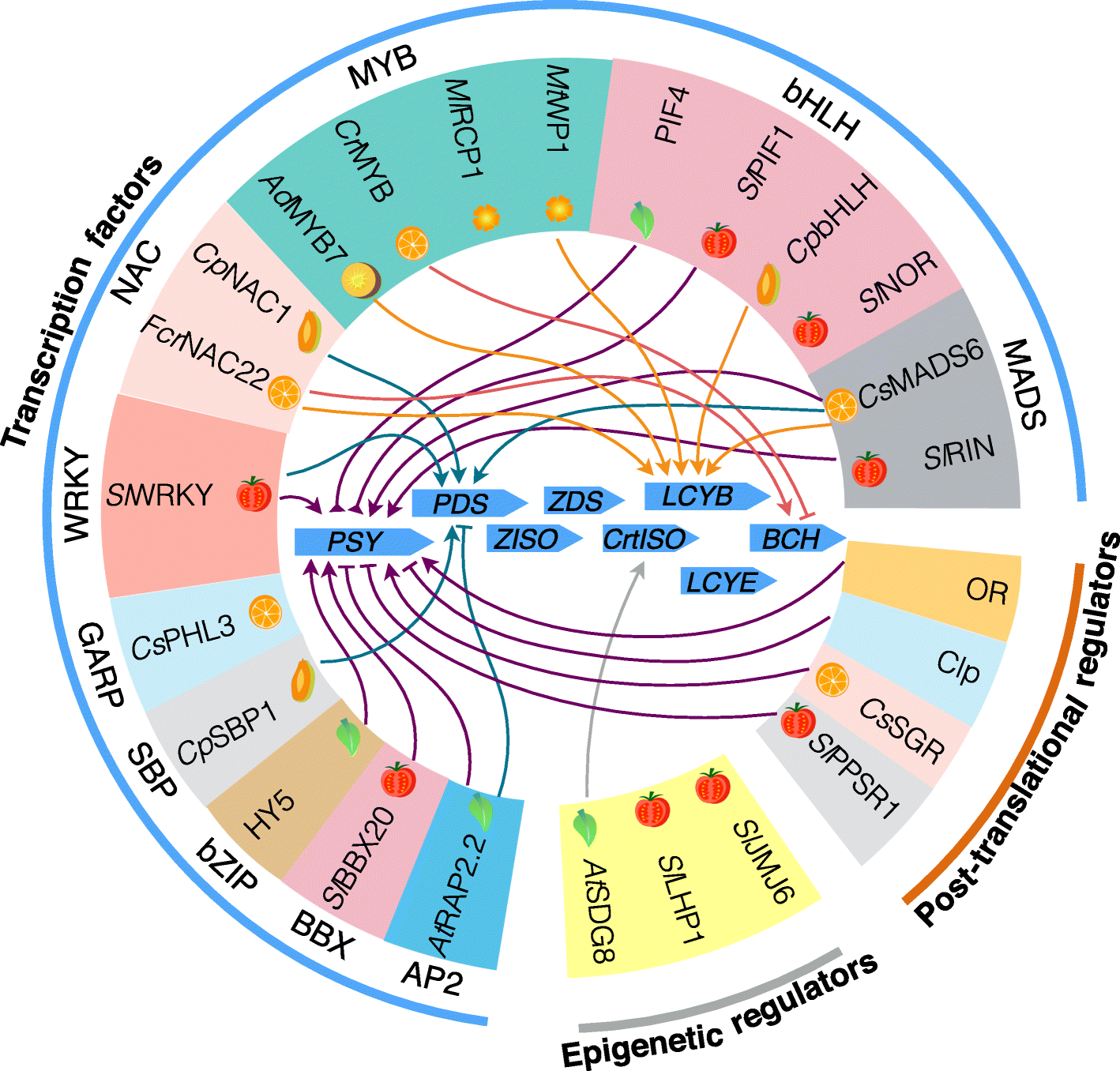 Fig. 3