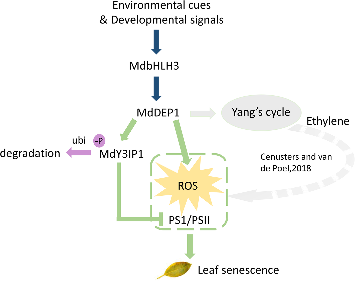 Fig. 7