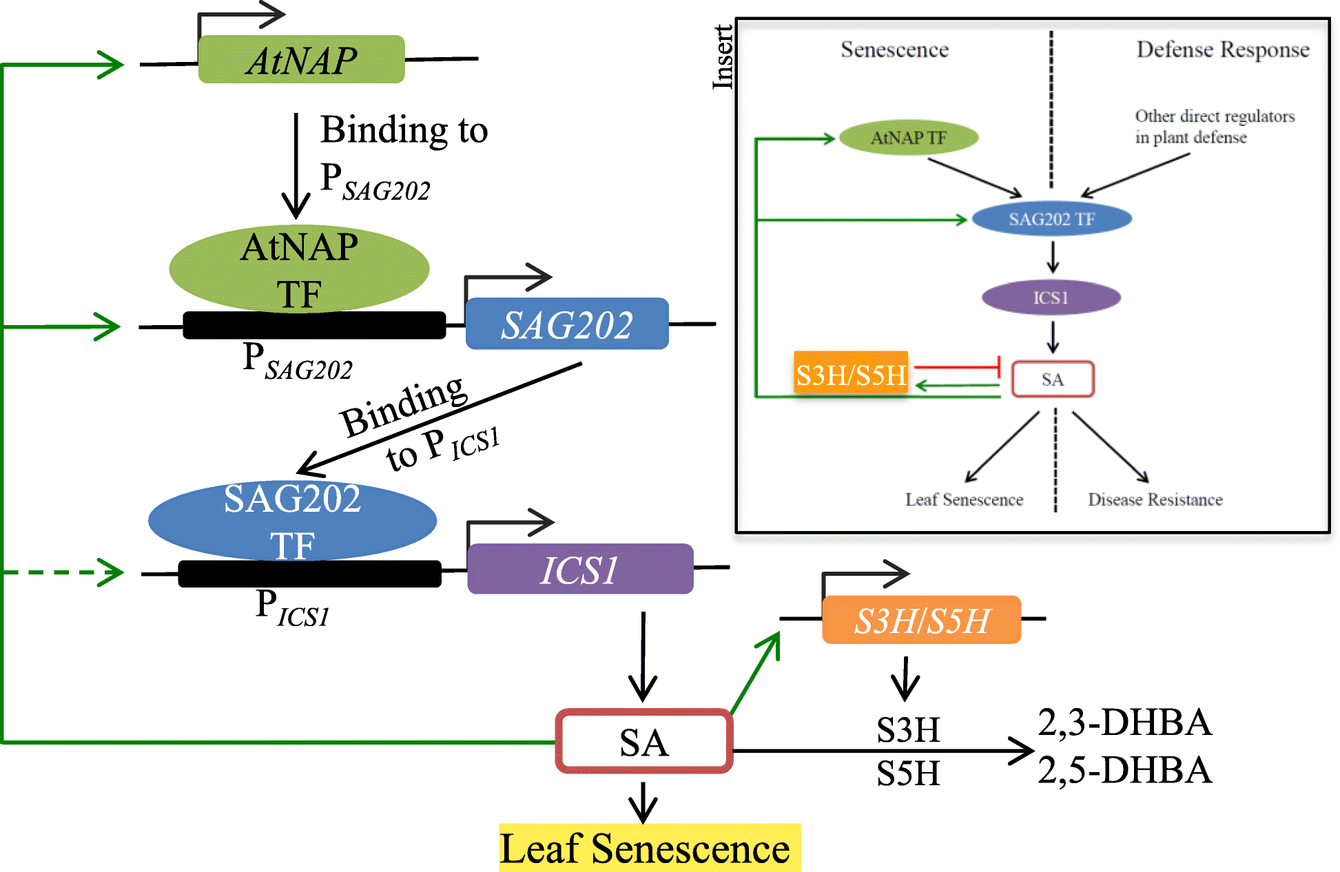 Fig. 8