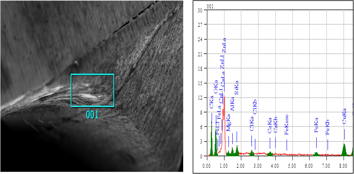 Fig. 11