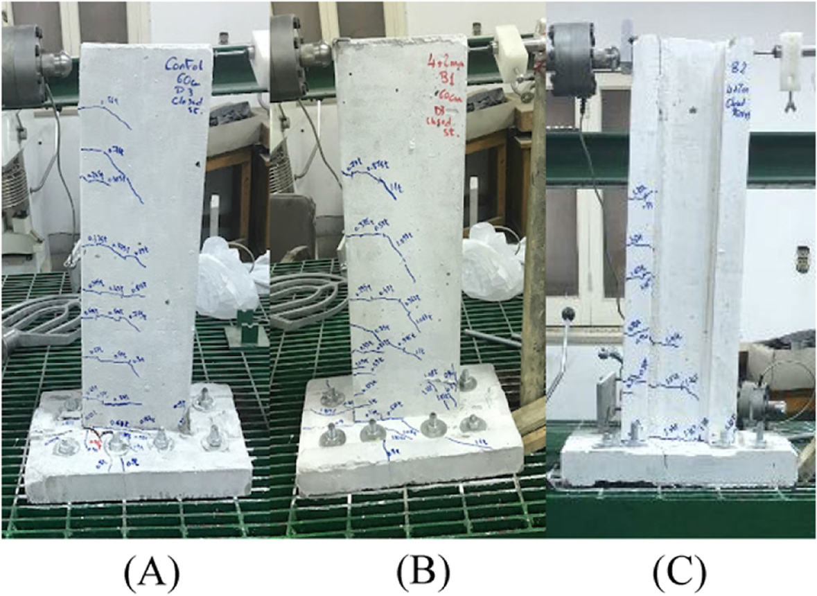 Fig. 11