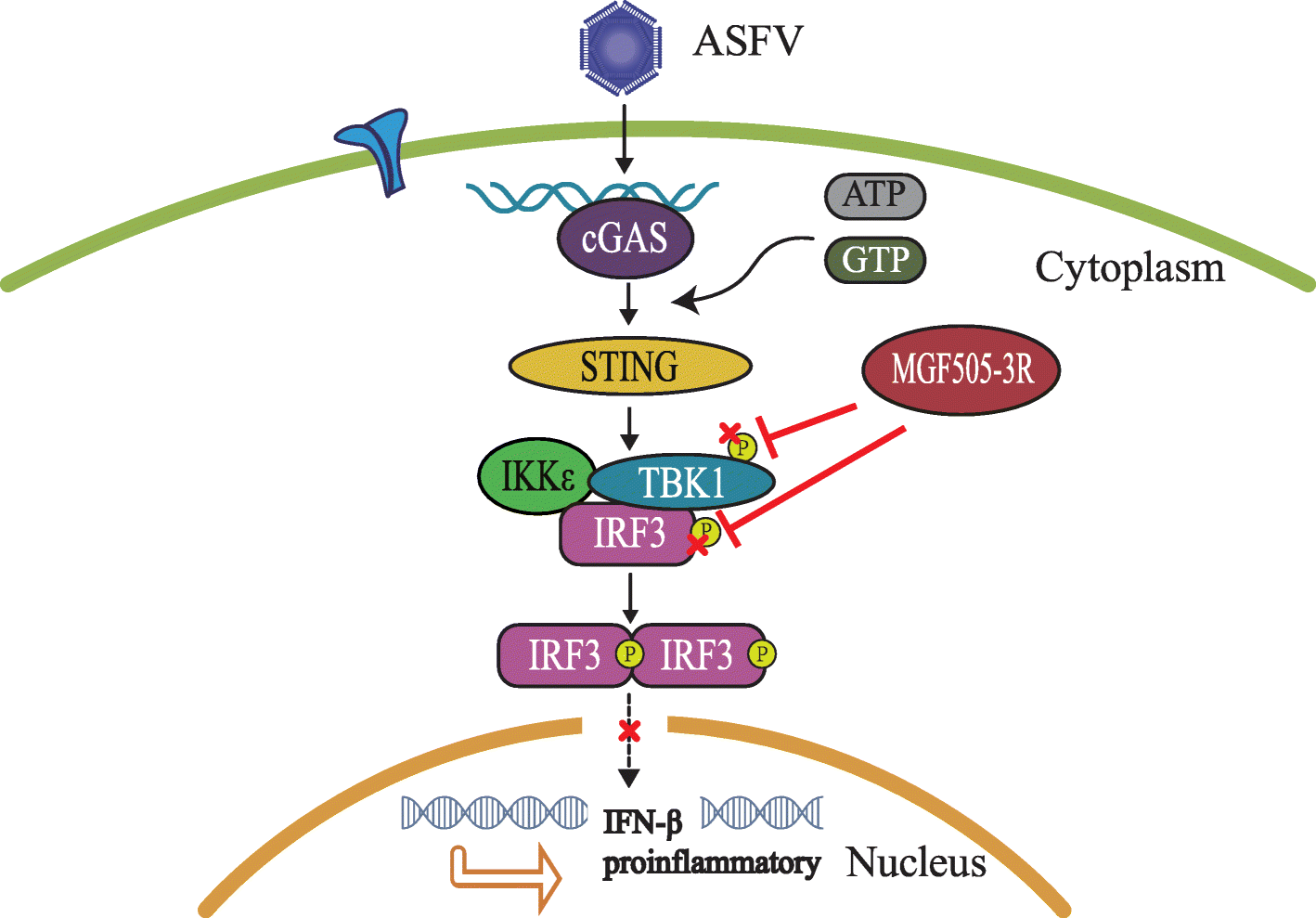 Fig. 7