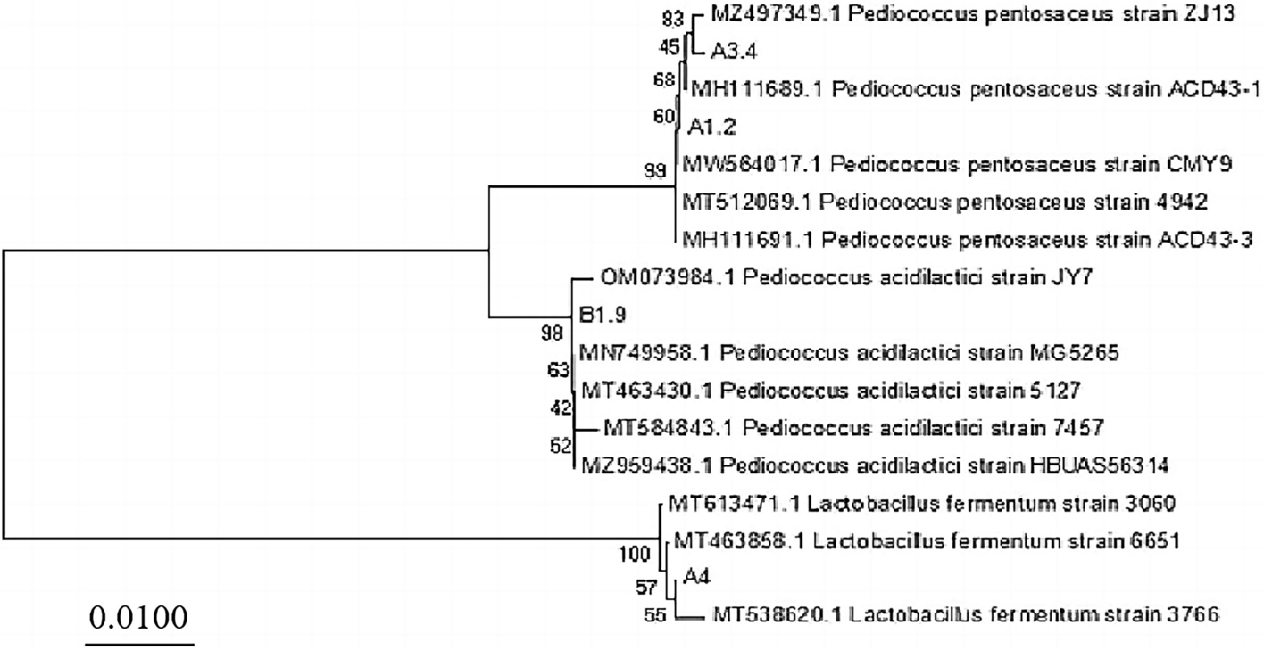 Fig. 2