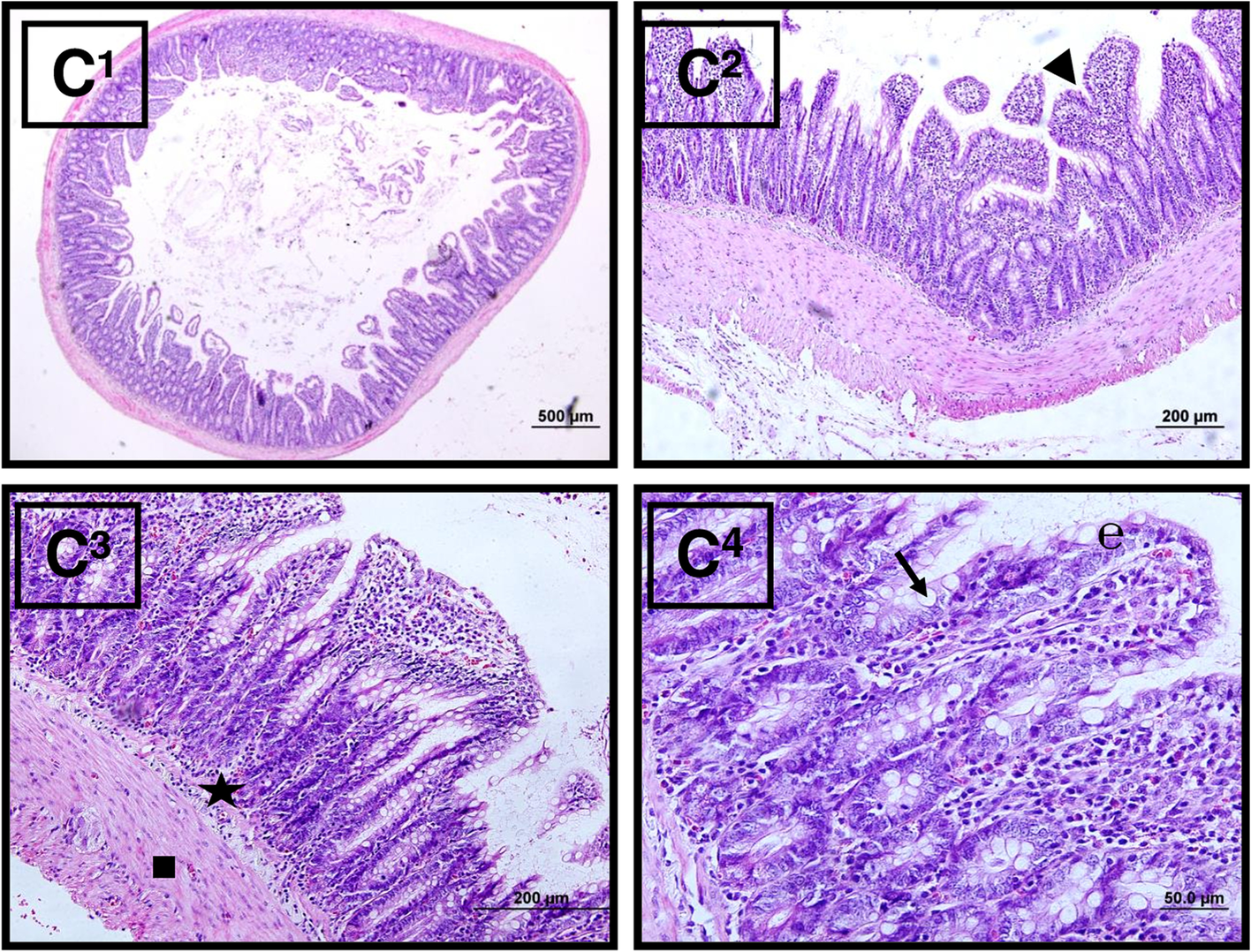 Fig. 8