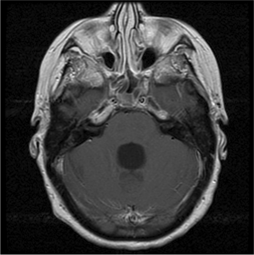 Fig. 7