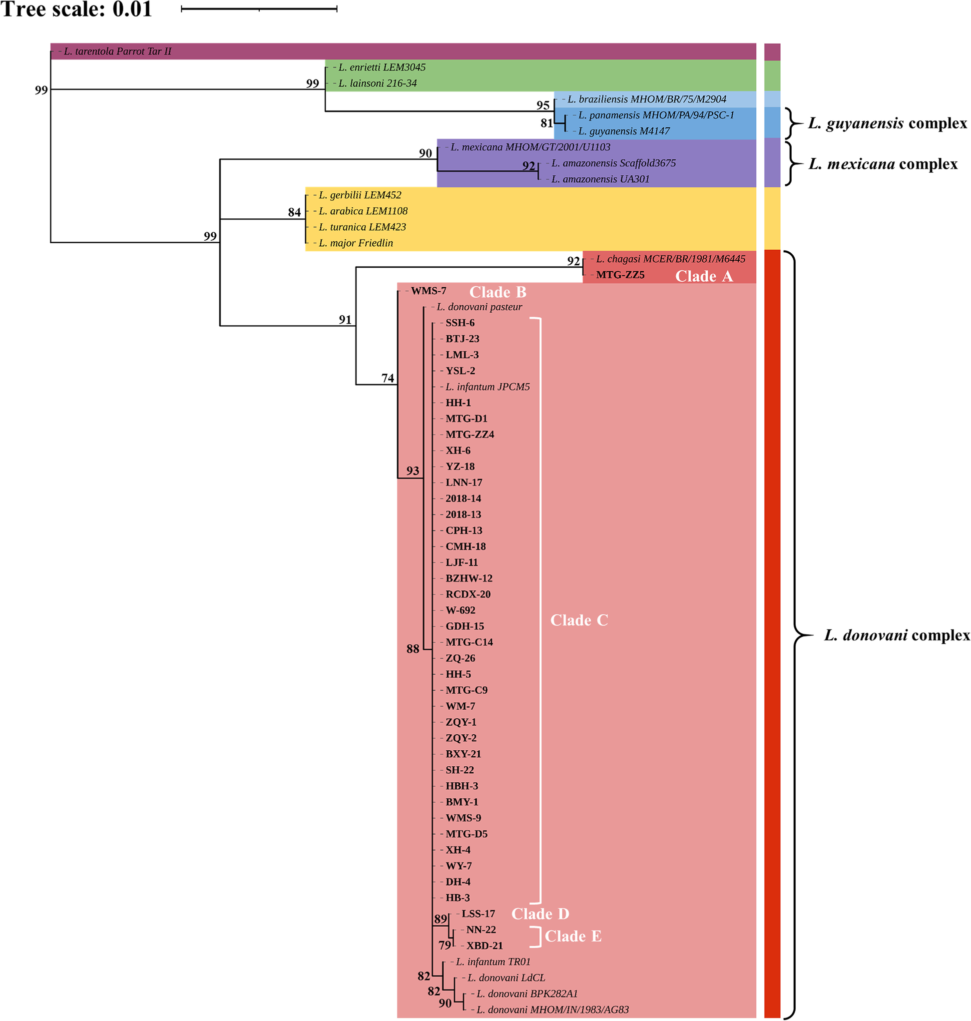 Fig. 3