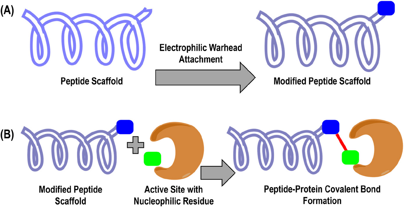 Fig. 2