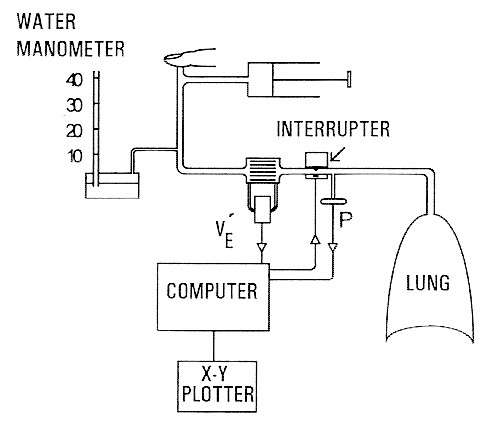 Lung Volumes And Pressure Volume Relations Of The Respiratory System In Small Ventilated Neonates With Severe Respiratory Distress Syndrome Pediatric Research Lung Volumes And Pressure Volume Relations Of The Respiratory System In Small Ventilated Neonates With Severe Respiratory Distress Syndrome Pediatric Research