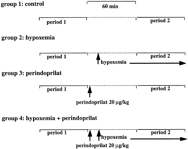 Protective Effect Of Perindoprilat In The Hypoxemia Induced Renal Dysfunction In The Newborn Rabbit Pediatric Research