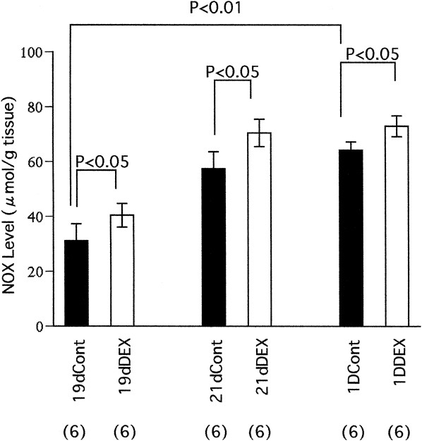 Effect of Antenatal Dexamethasone Treatment on Ca2+-Dependent Nitric Oxide  Synthase Activity in Rat Lung | Pediatric Research