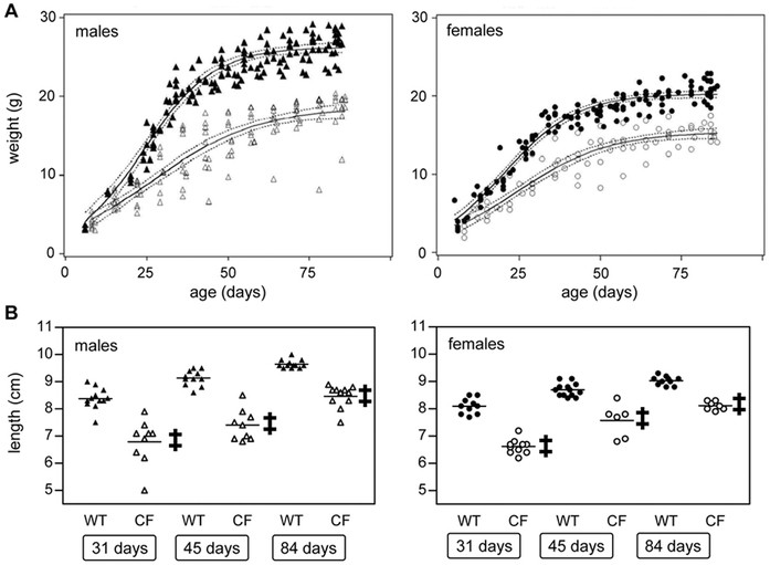 Mouse As A Model Of Growth Retardation In Cystic Fibrosis