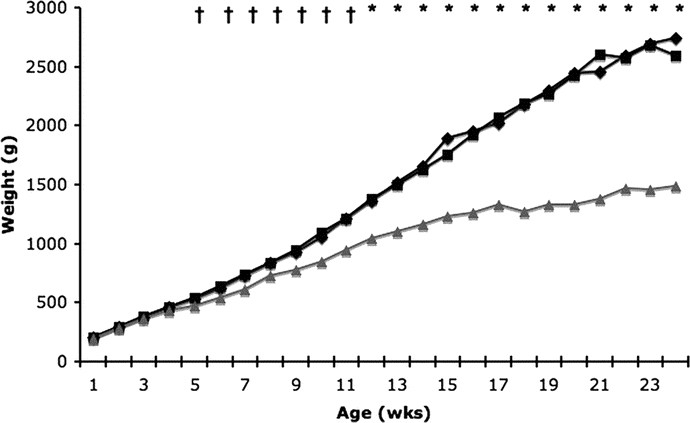 White and gray matter alterations in adults with Niemann-Pick