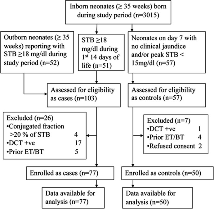 Jaundice Level Chart For Newborns Singapore