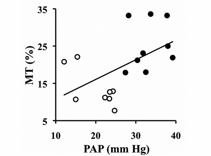 Expression of Vasoactive Intestinal Peptide and Related Receptors in  Overcirculation-Induced Pulmonary Hypertension in Piglets | Pediatric  Research