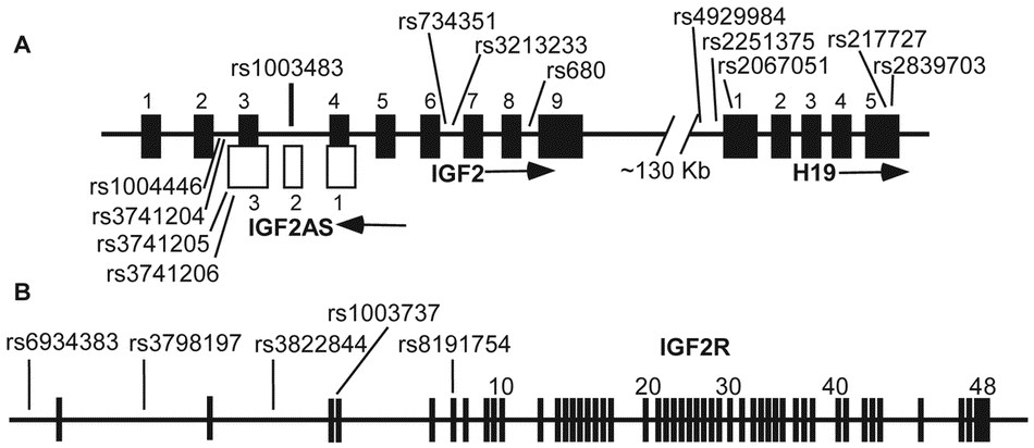recent rs-629 dmr programming recent rs-629 dmr programming