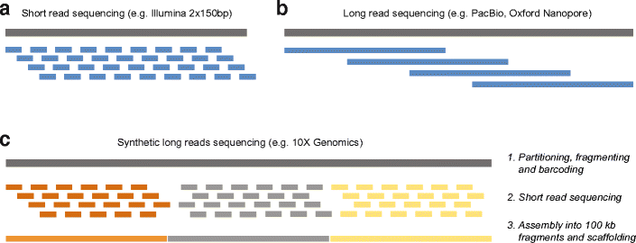 Figure 5 | Pharmacogenomic Biomarkers for Improved Drug Therapy—Recent  Progress and Future Developments | SpringerLink