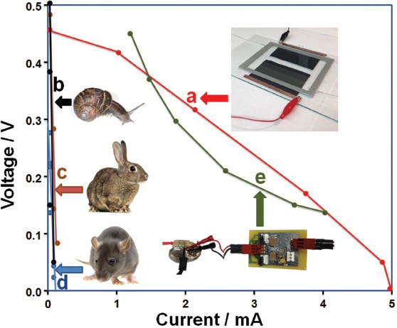 Figure 11