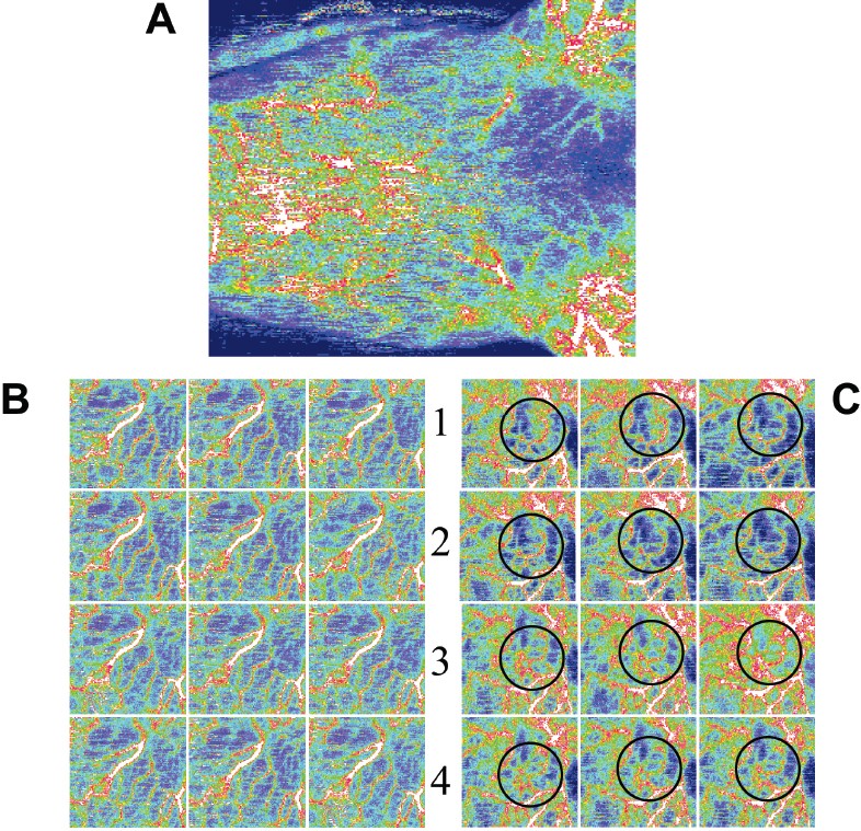 Figure 6