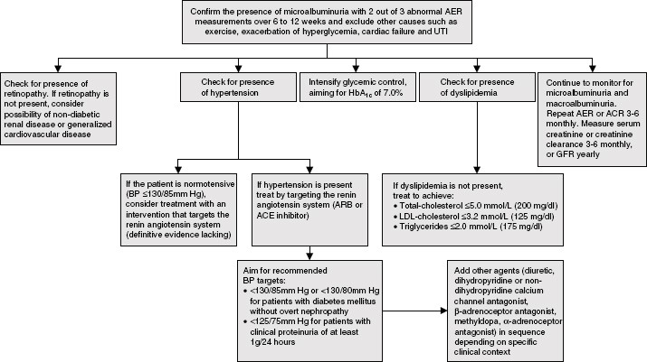 Figure 2 | Treatment of Microalbuminuria in Patients with Type 2 Diabetes  Mellitus | SpringerLink