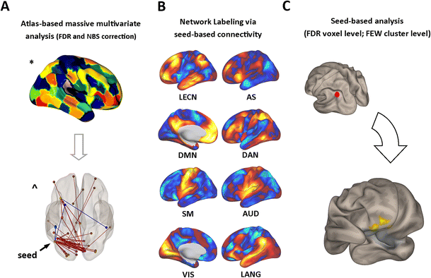 Figure 1 Brain Functional Connectivity Correlates Of Coping Styles Springerlink