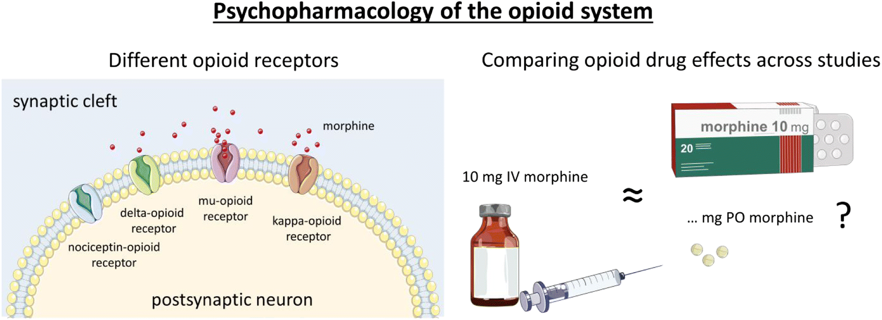 Figure 2 | The role of the opioid system in decision making and cognitive  control: A review | SpringerLink