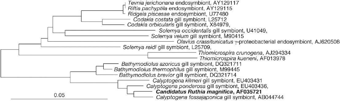 Fig 2.