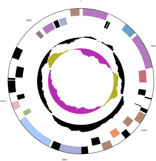 Figure 3b.