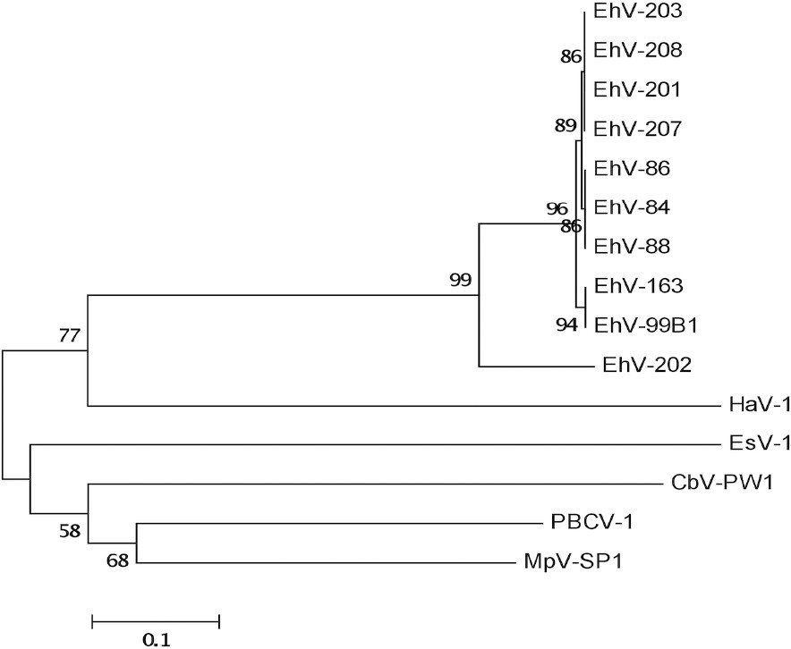 Figure 1.