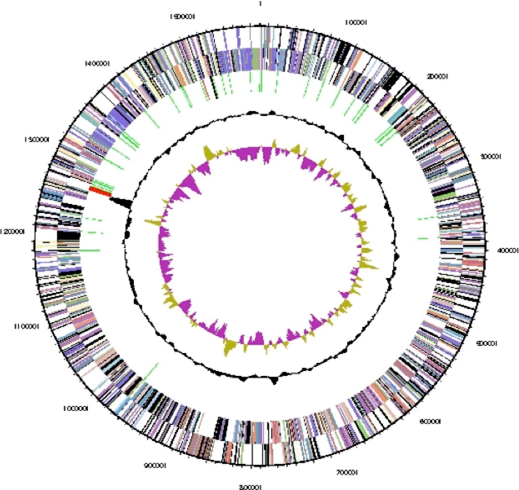 Figure 3.