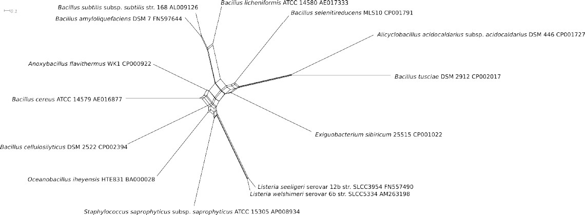 Figure 4.