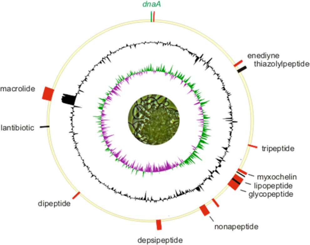 Figure 6.