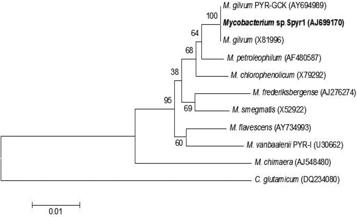 Figure 1.