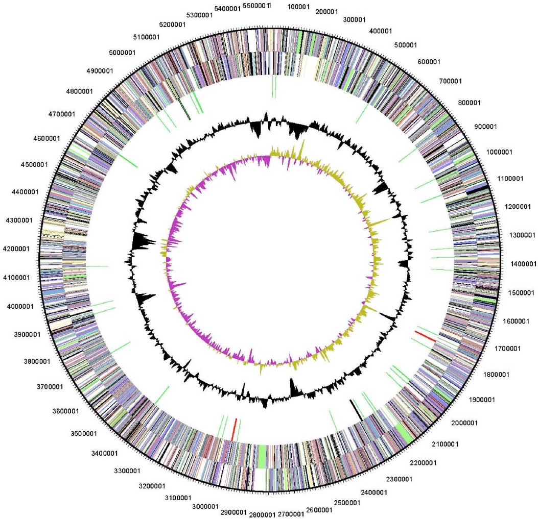 Figure 4.