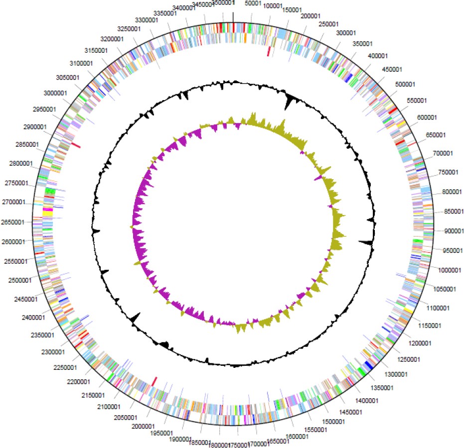 Figure 3.