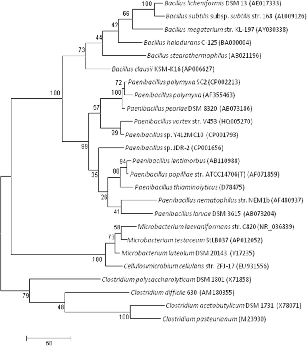 Figure 1.