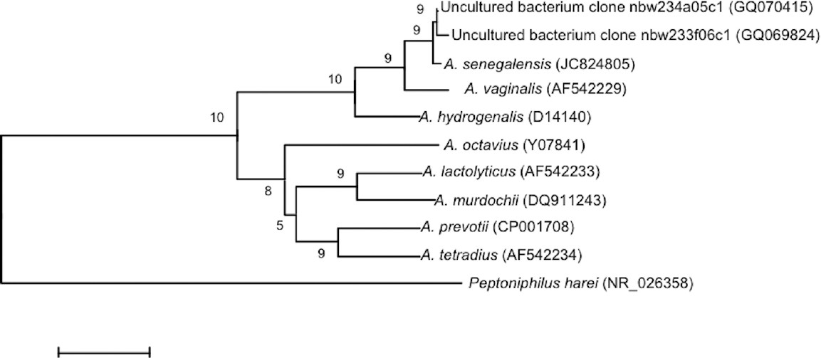 Figure 1.