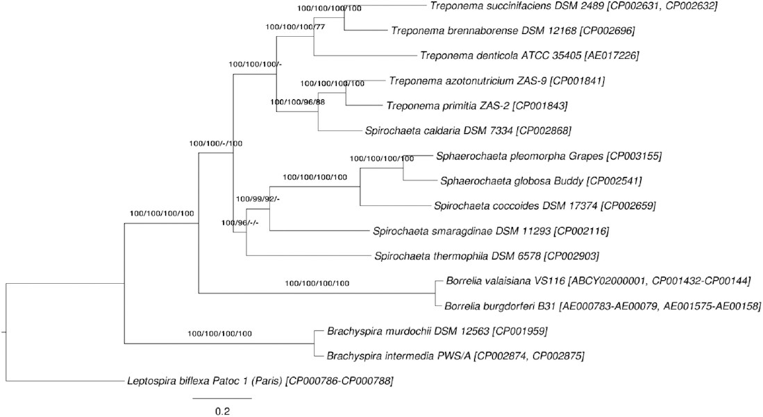 Figure 3.