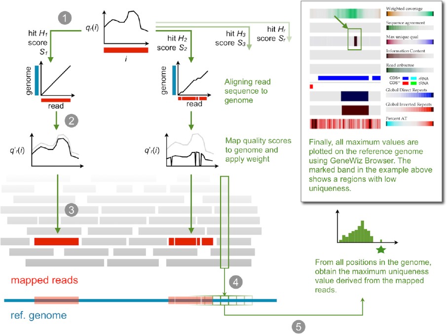 Figure 1 |