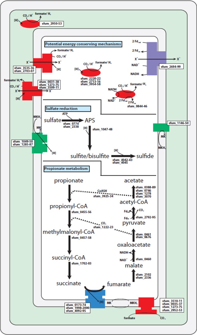 Figure 6.