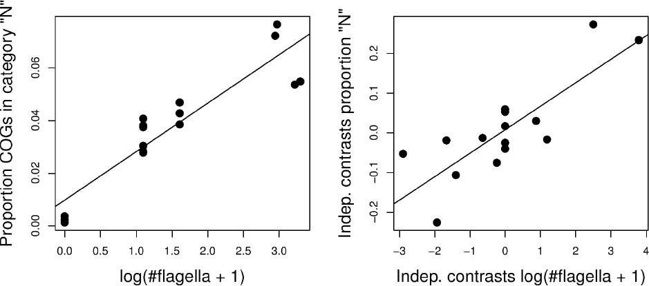 Fig. 5.