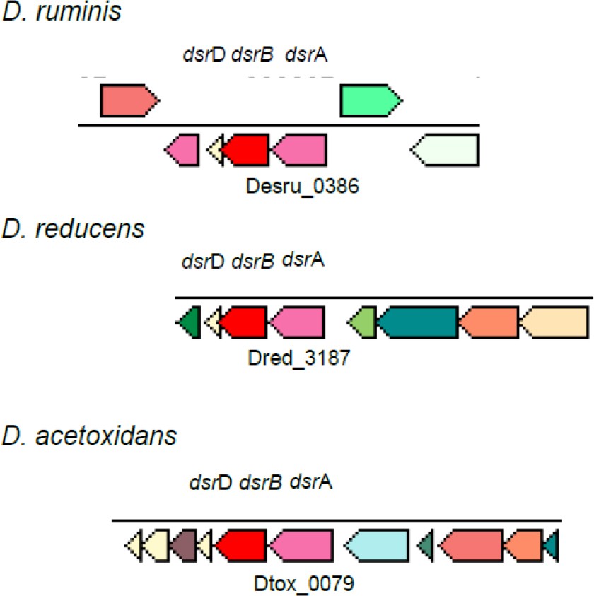 Figure 5a.