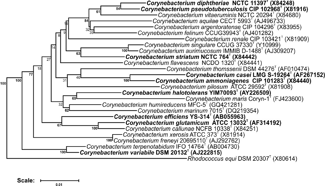 Figure 1.