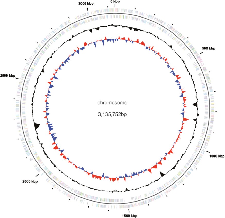 Figure 3.