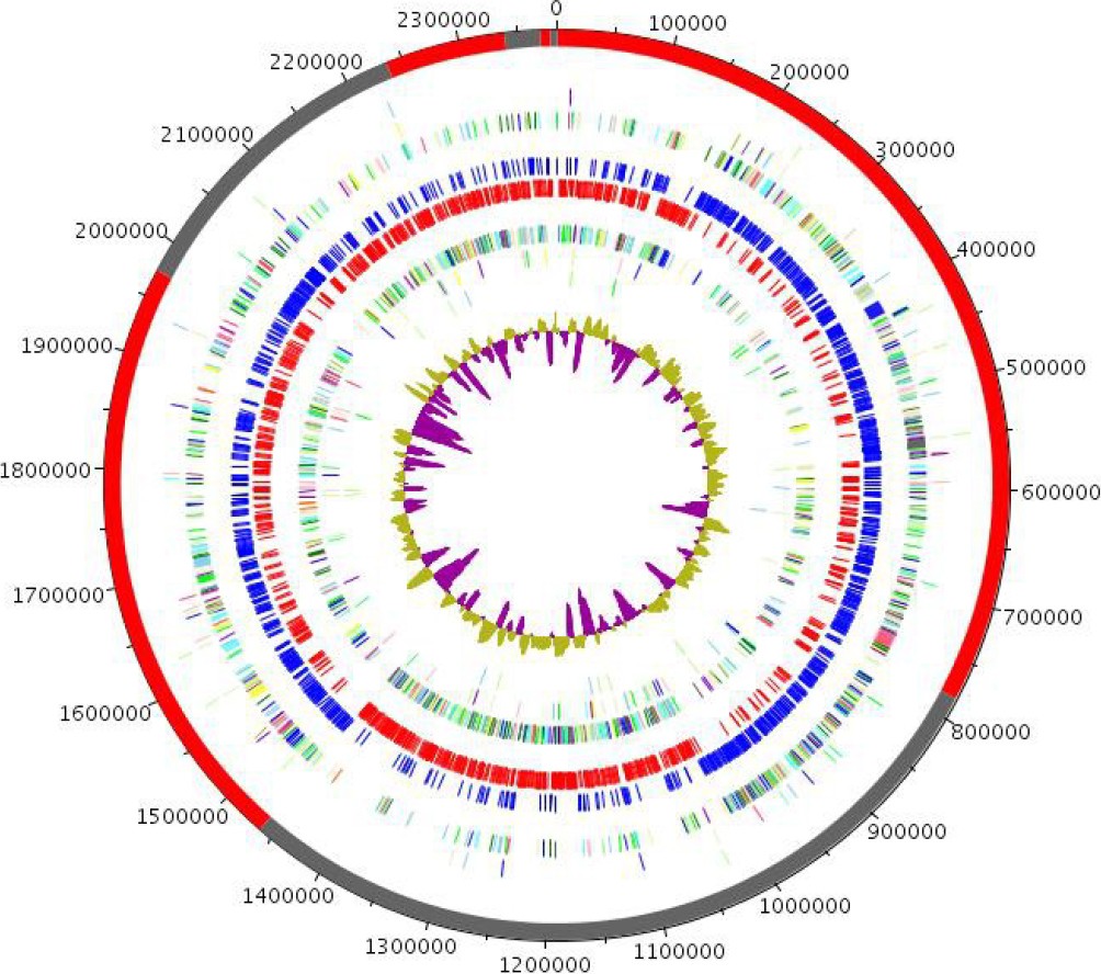 Figure 6.