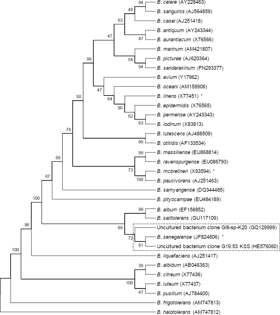 Figure 1.