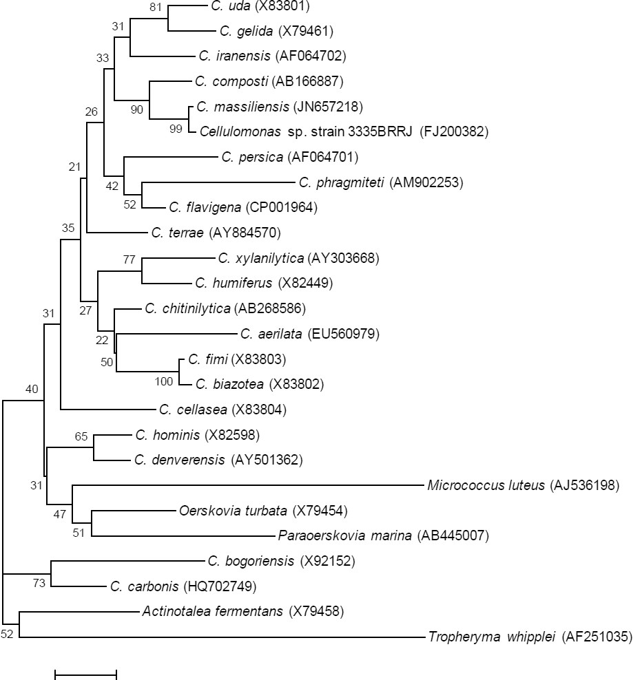 Figure 1.