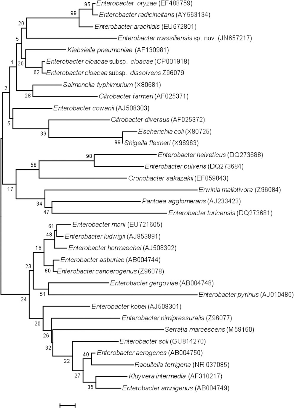 Figure 1.