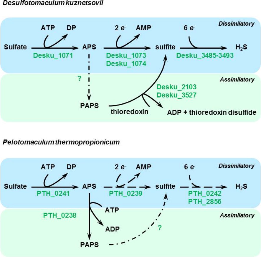 Figure 7.