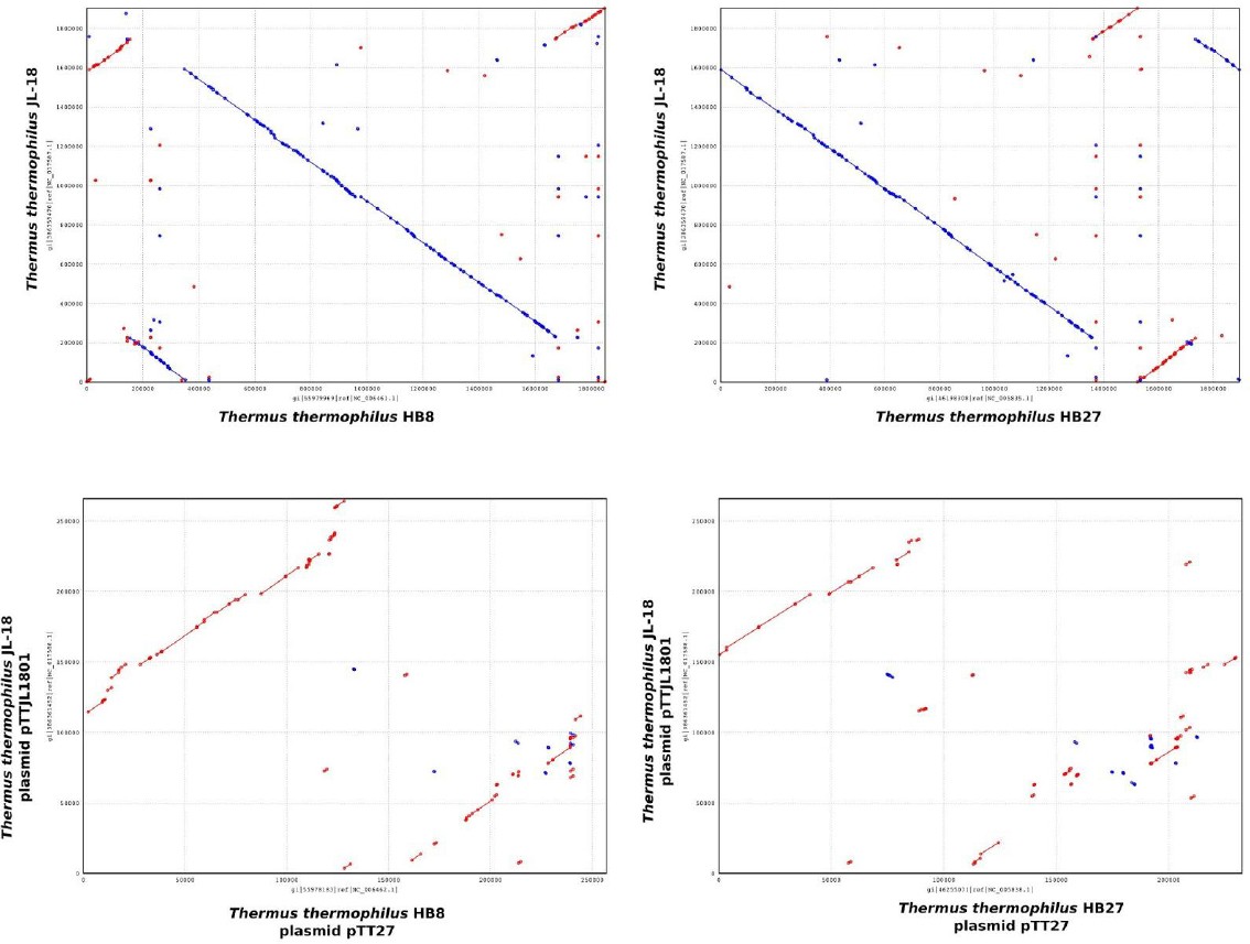 Figure 4(a).