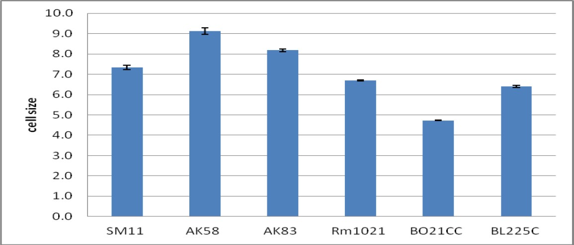 Figure 2.